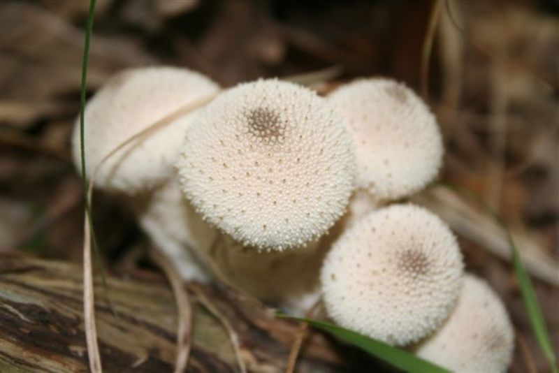 Sui colli Piacentini